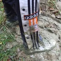 Converse adventures II